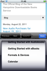 Blogger Pages Blogger Pages